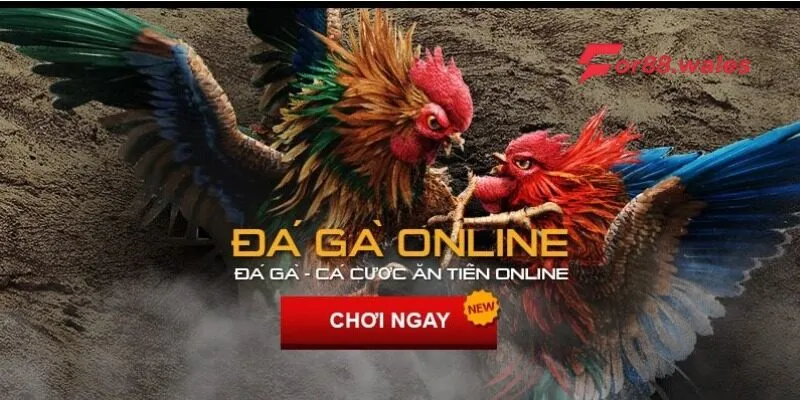 đá gà online