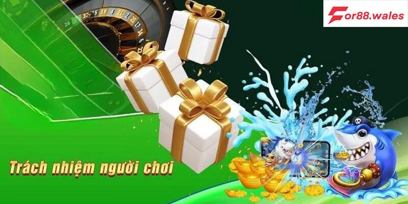 Tìm hiểu trách nhiệm người chơi là gì? 